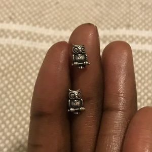 Owl post earrings